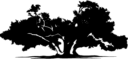 Gjerrild – Byen mellem skov og strand